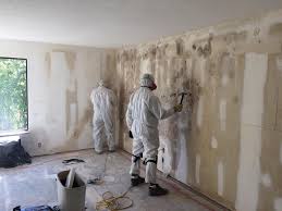 Best Mold Remediation for Healthcare Facilities in Sheldon, IA